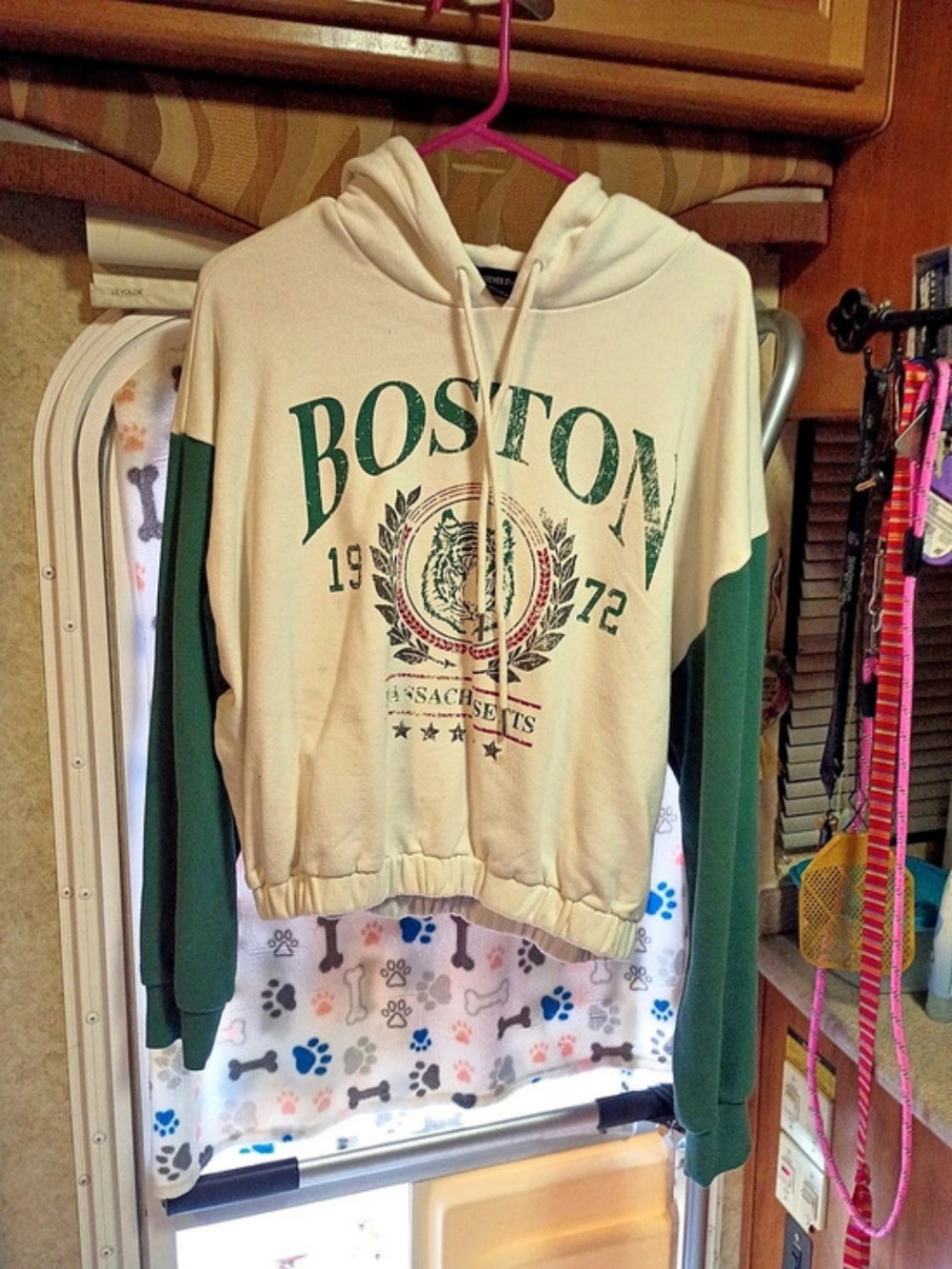 Boston Graphic Hoodie in Cream & Green